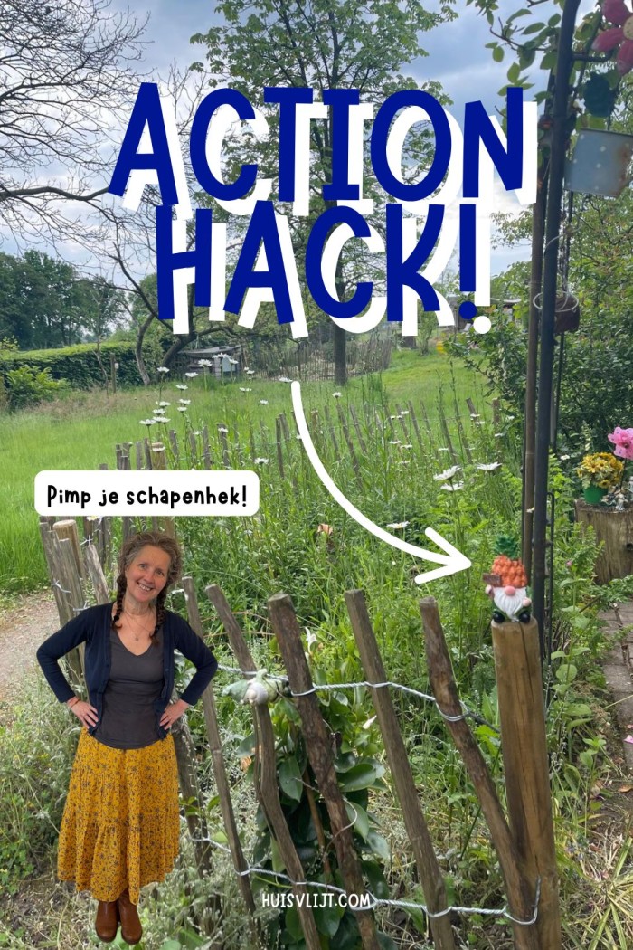 action hacks diy