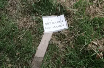 En ik zei nog zo: ‘Niet maaien!’