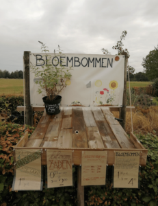 bloembom