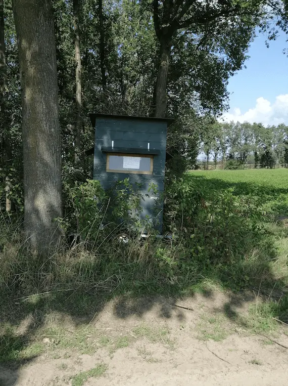 Shame and scandal op het Achterhoekse platteland