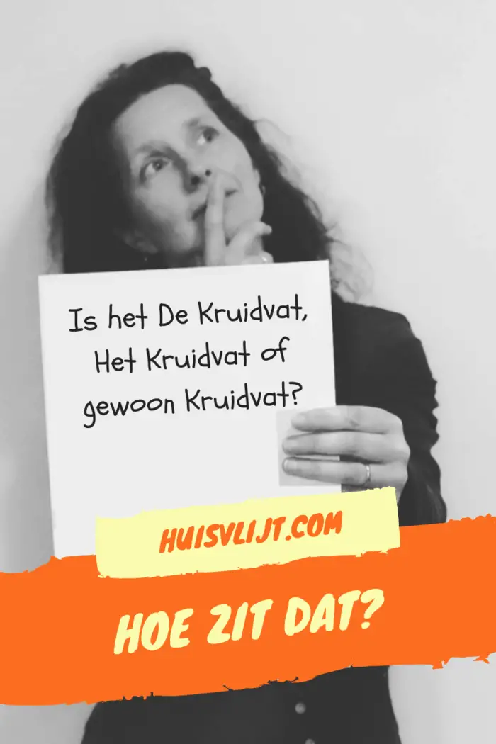 Is het De Kruidvat, Het Kruidvat of gewoon Kruidvat?