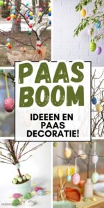 paasboom