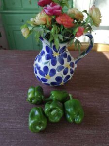paprika's uit eigen tuin