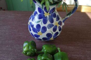 Paprika’s uit eigen tuin