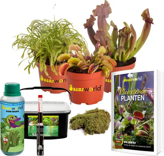 terrarium planten kit