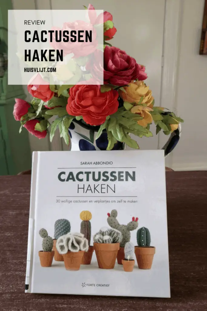 Cactussen haken: 30 wollige cactussen en vetplantjes