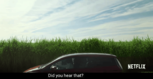 In the tall grass