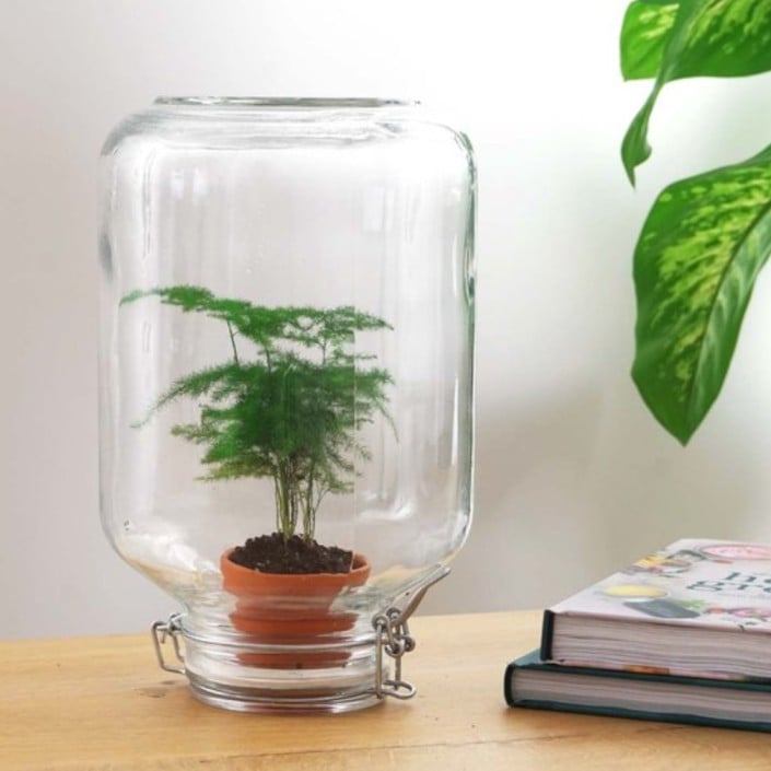 terrarium fles kopen