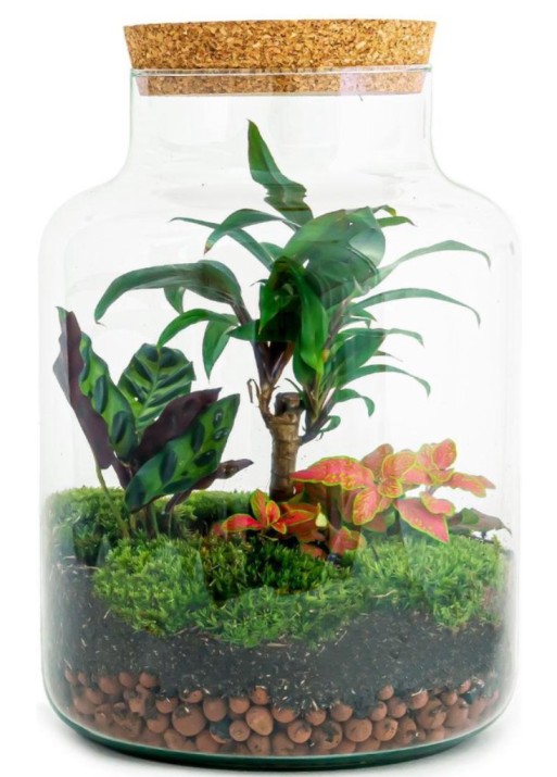 terrarium fles kopen