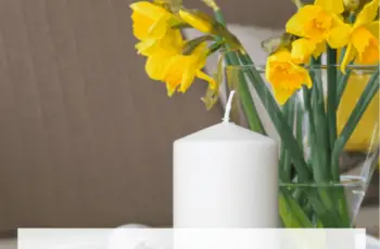 Huis verkoopklaar maken inclusief je tuin!