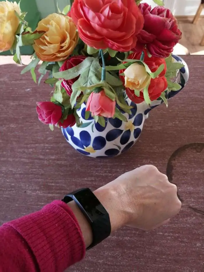 Fitbit