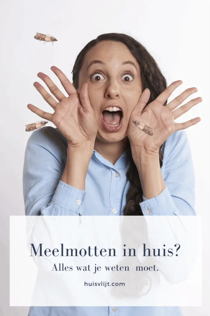 Meelmotten in huis? Zo kom je er van af!