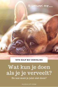 Wat kun je doen als je je verveelt?