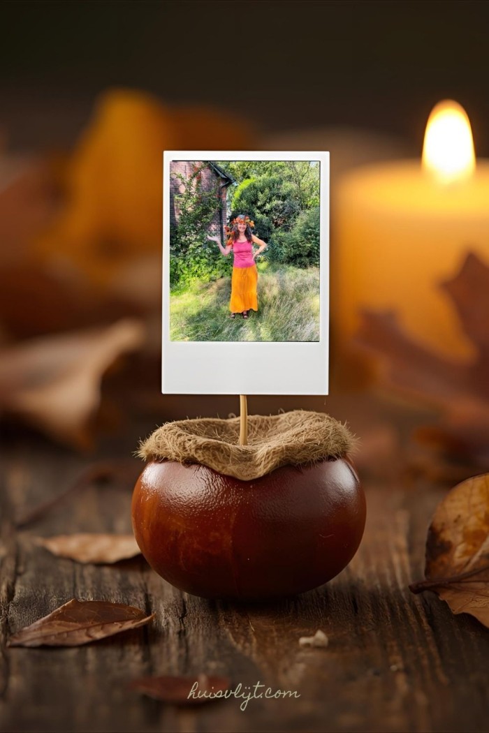 decoraties kastanjes