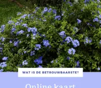 Een online kaart versturen: mijn ervaring