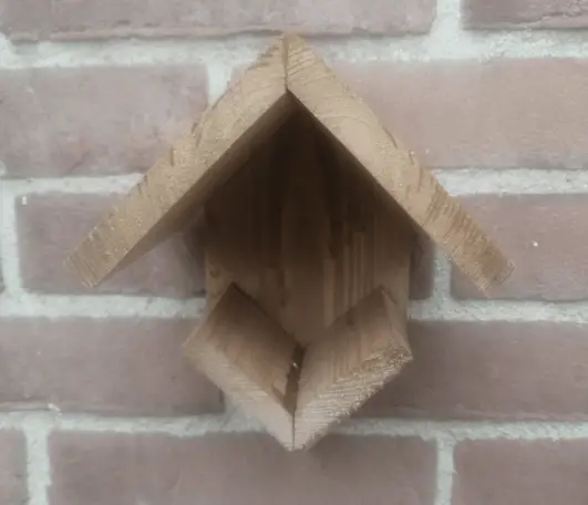 Vogelhuisje Action