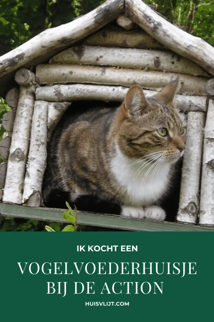 Vogelhuisje Action met pindakaas in woord en beeld