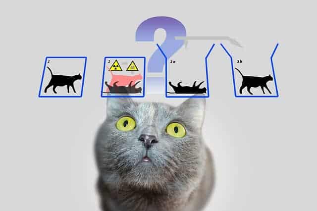Muis in de val? Schrödingers kat en de muis. 17 Muis in de val? Schrödingers kat en de muis.