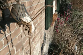 Aargh! Wat een lugubere vondst!