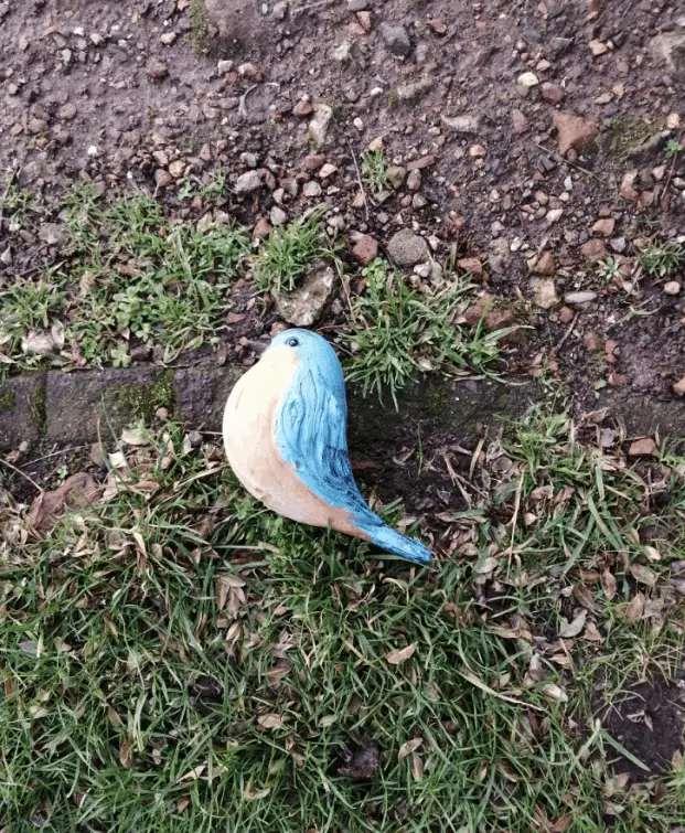 Stormschade hier in de Achterhoek