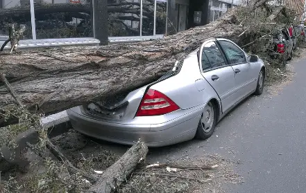 stormschade