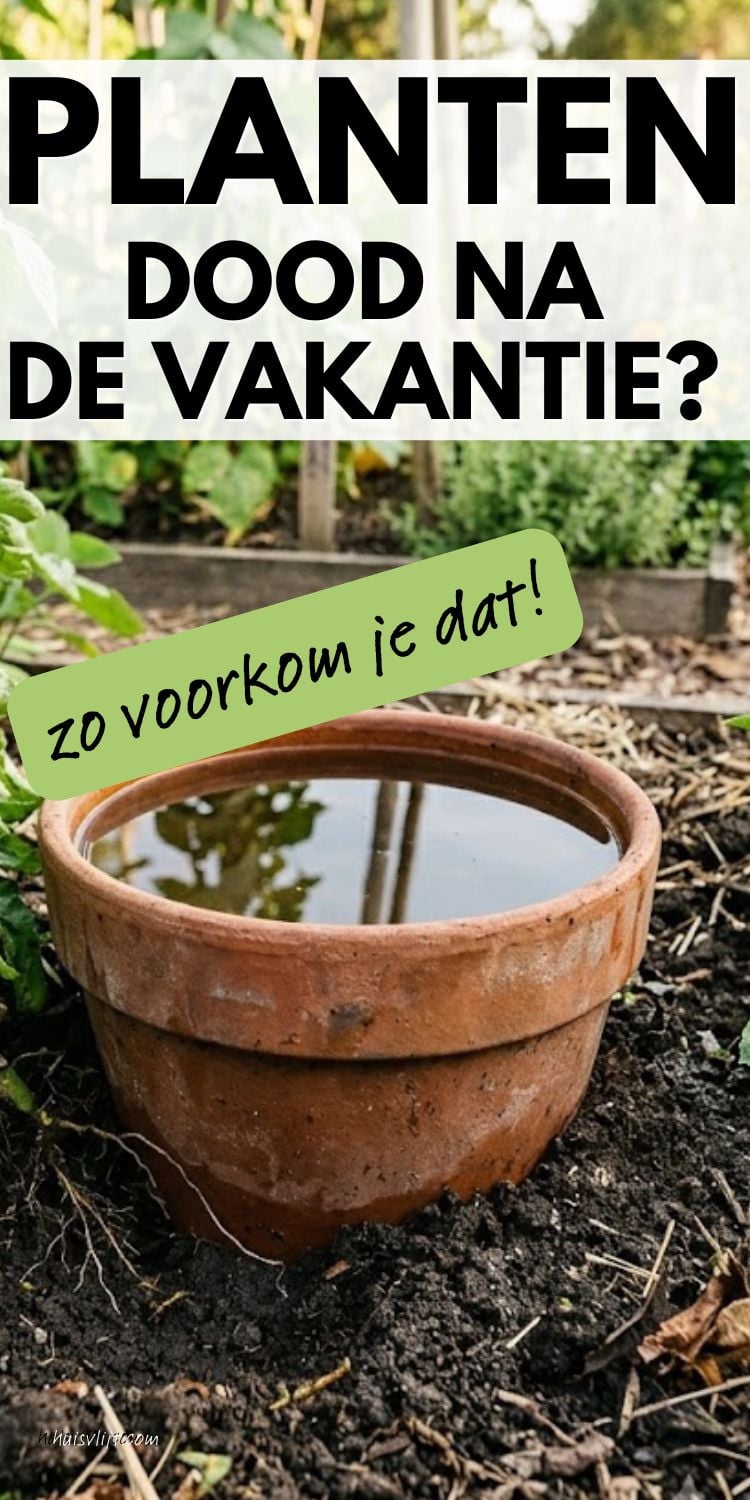 Oude plantenpotten hergebruiken 2 planten water geven
