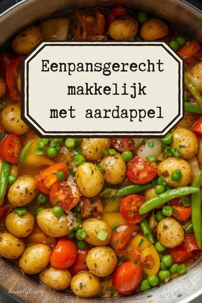 eenpansgerecht makkelijk