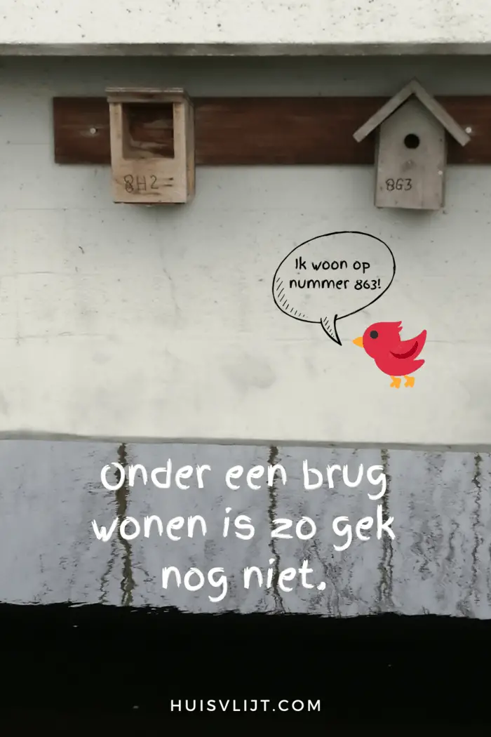 Onder een brug wonen is zo gek nog niet