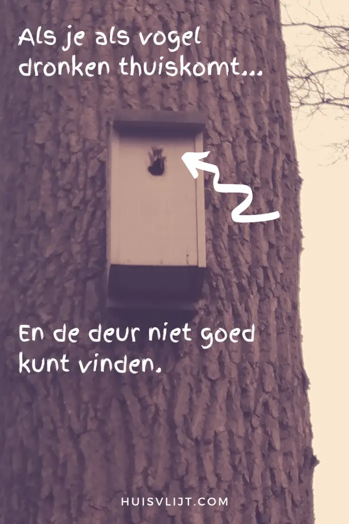 Als je als vogel dronken thuiskomt...