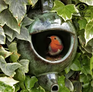 theepot vogelhuisje