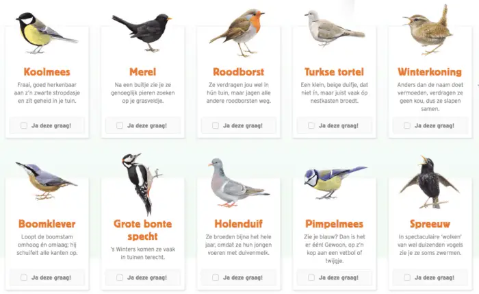 vogels spotten