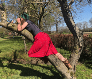 Vogelaar