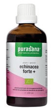 echinacea forte