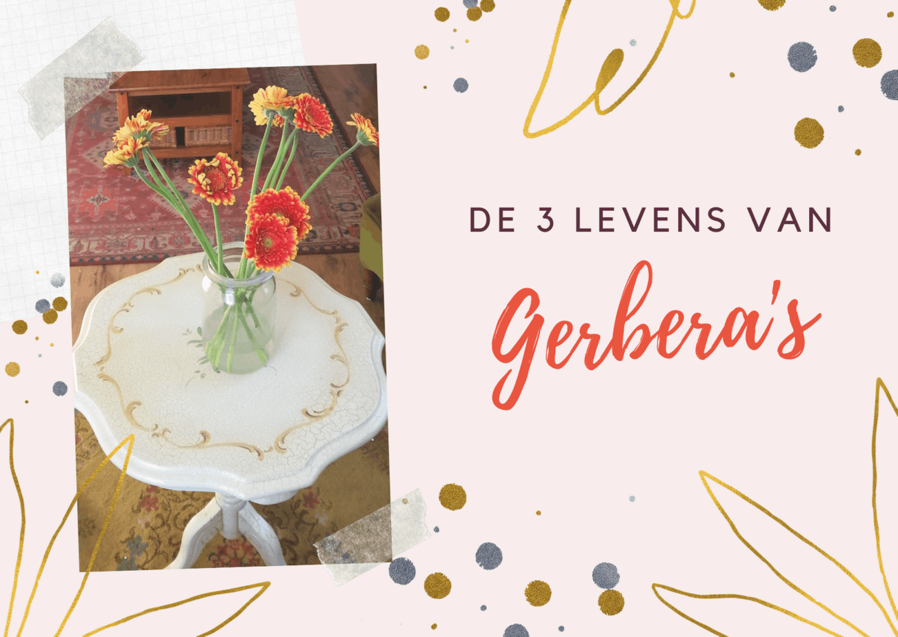 De 3 levens van Gerbera's