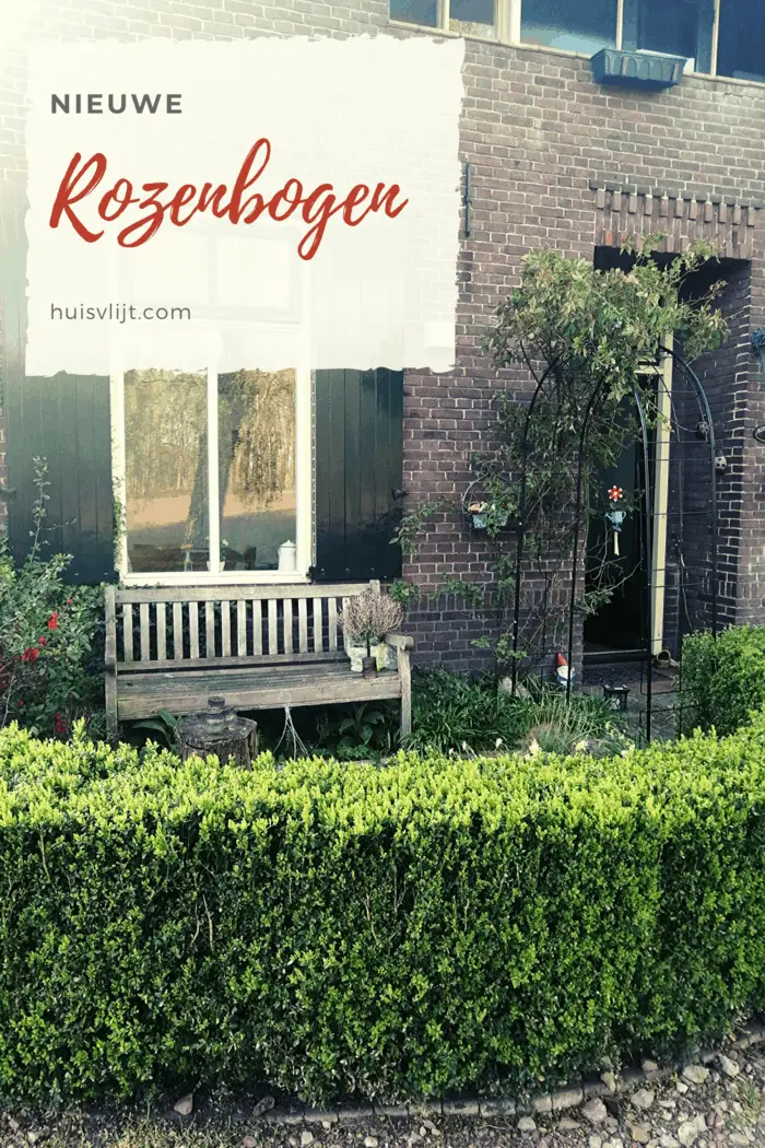 Rozenbogen in de tuin: twee nieuwe!