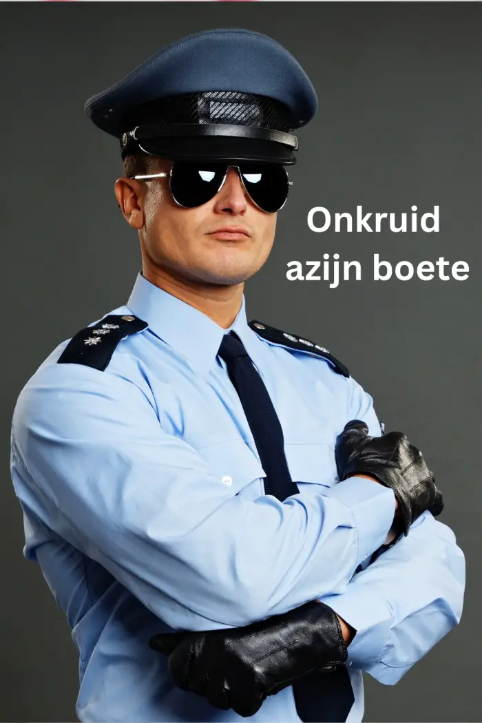 onkruid azijn boete