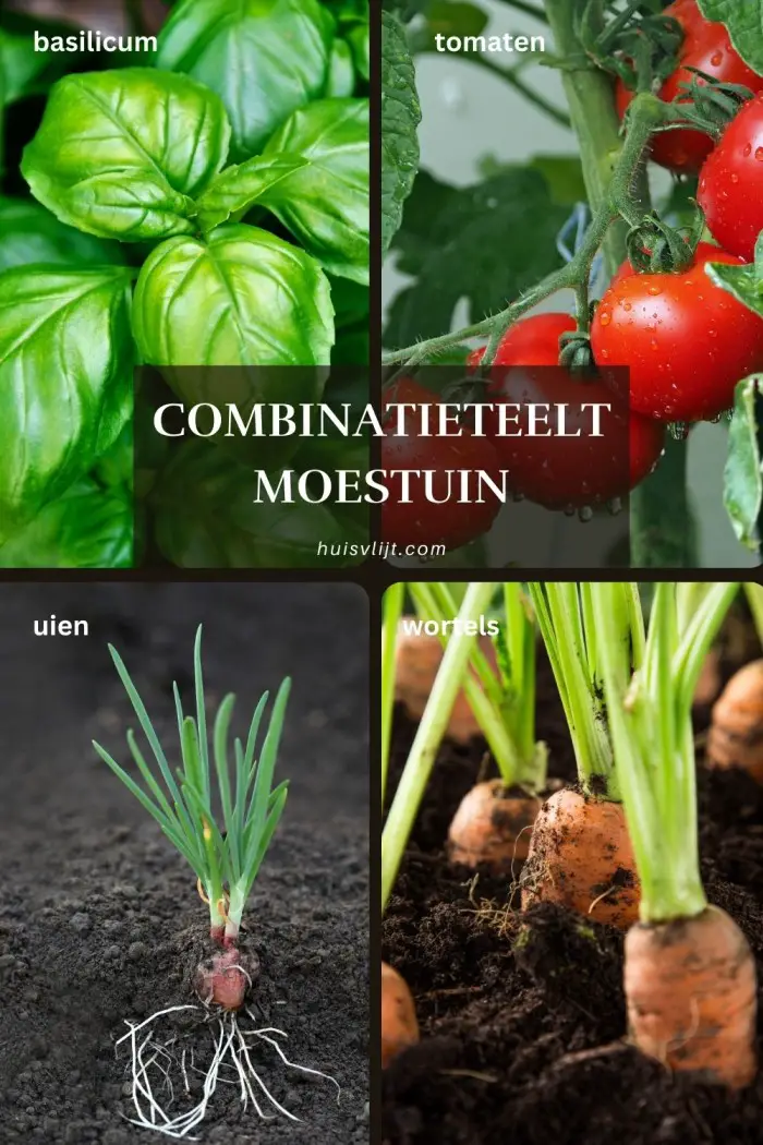 combinatieteelt
