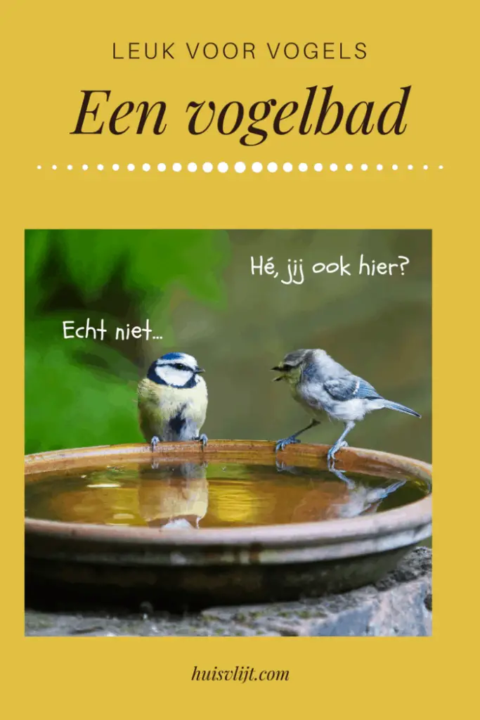 vogelbad