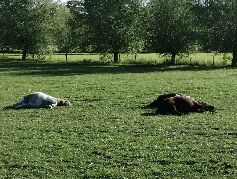 Groepsactiviteit voor introverten 7 Groepsactiviteit voor introverten
