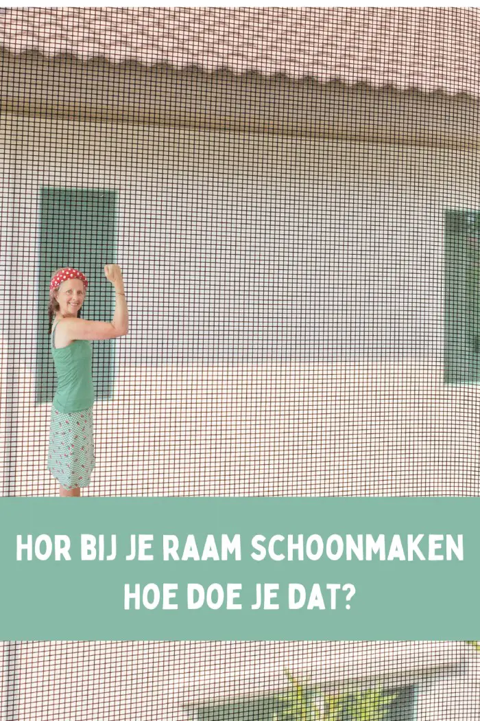 raamhor schoonmaken