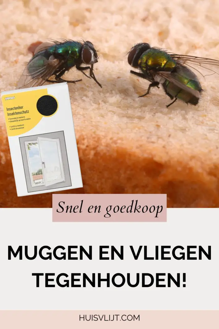 vliegenhor