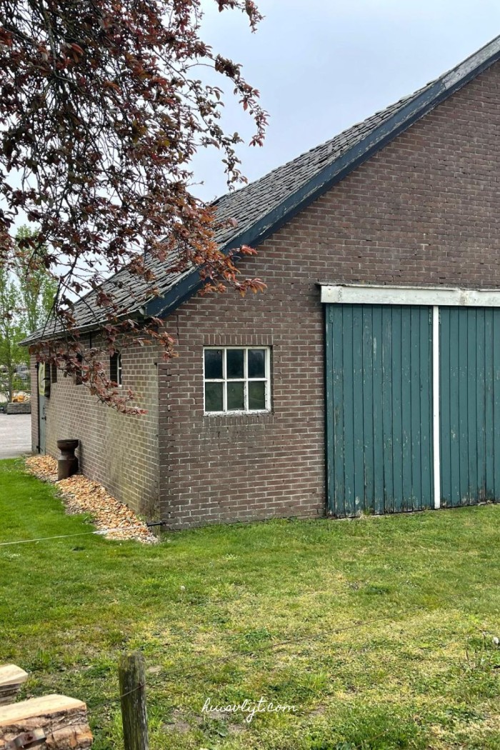 Houtsnippers tuin: wat zijn het en waar kun je ze allemaal voor gebruiken? 2 houtsnippers border