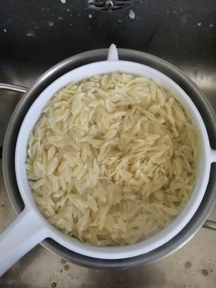 orzo