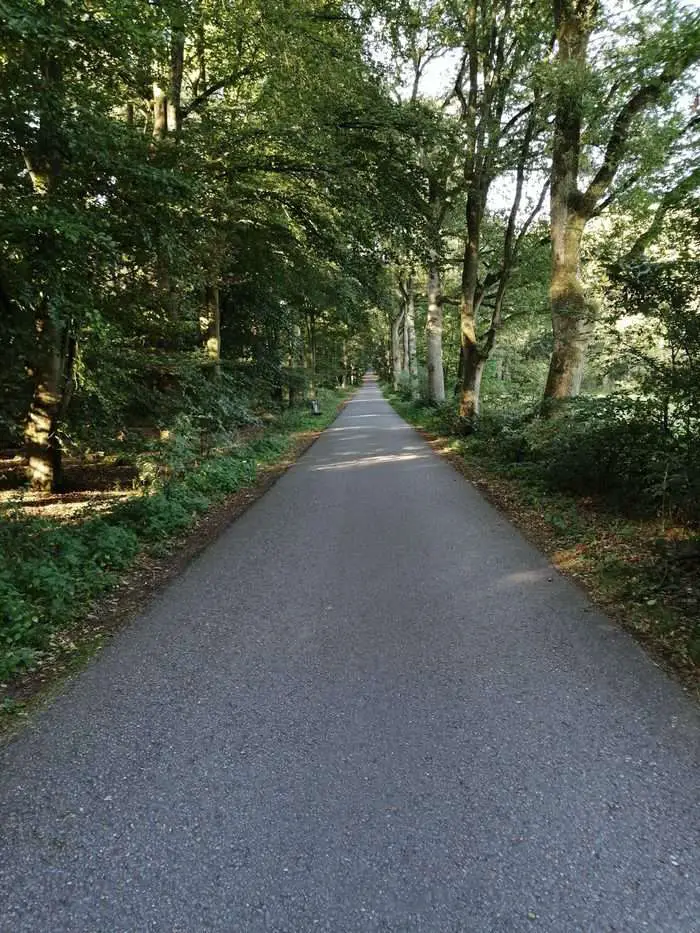 Hoch Elten: van Stokkum naar Hoch Elten - Huisvlijt