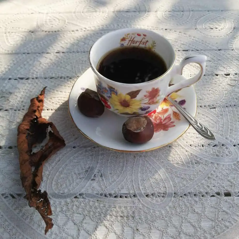 De eerste herfstkoffie - bij zomerse temperaturen