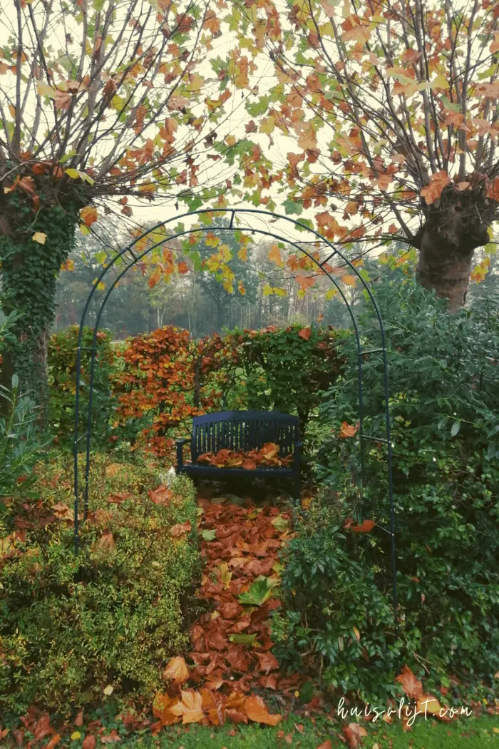 Herfstafereel in onze tuin 2020
