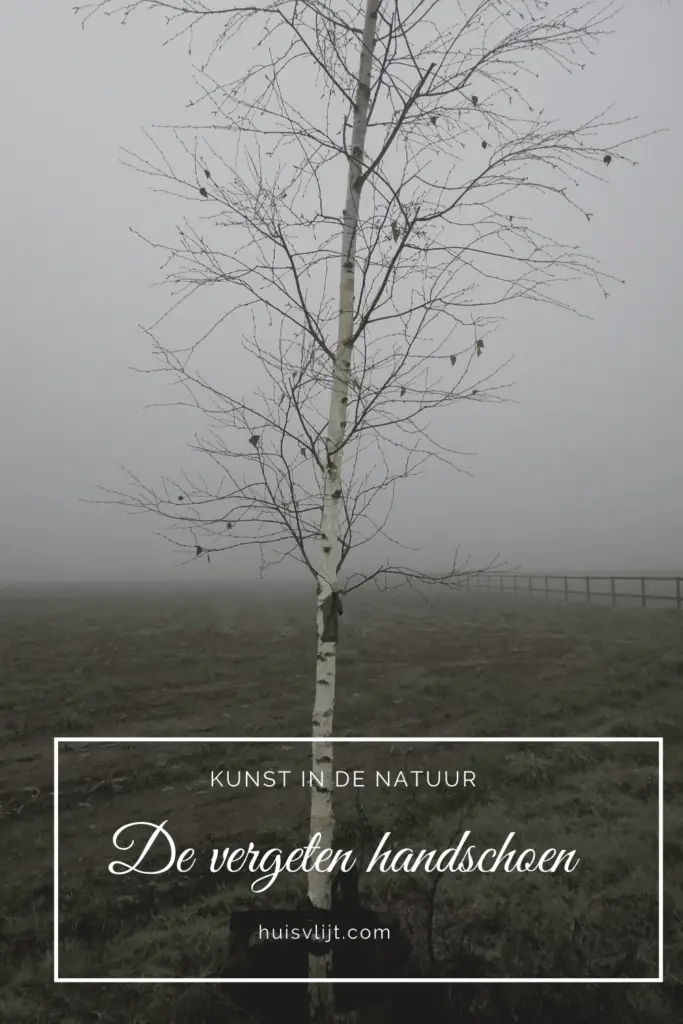 Natuur kunst