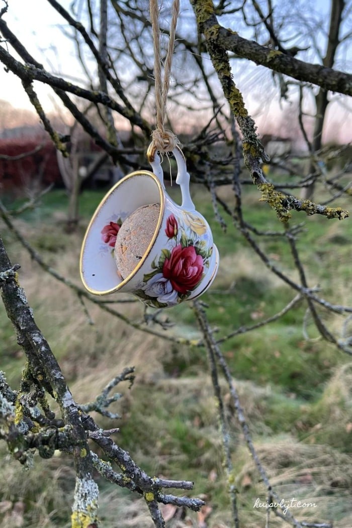 zelf een vogelvoer hanger maken