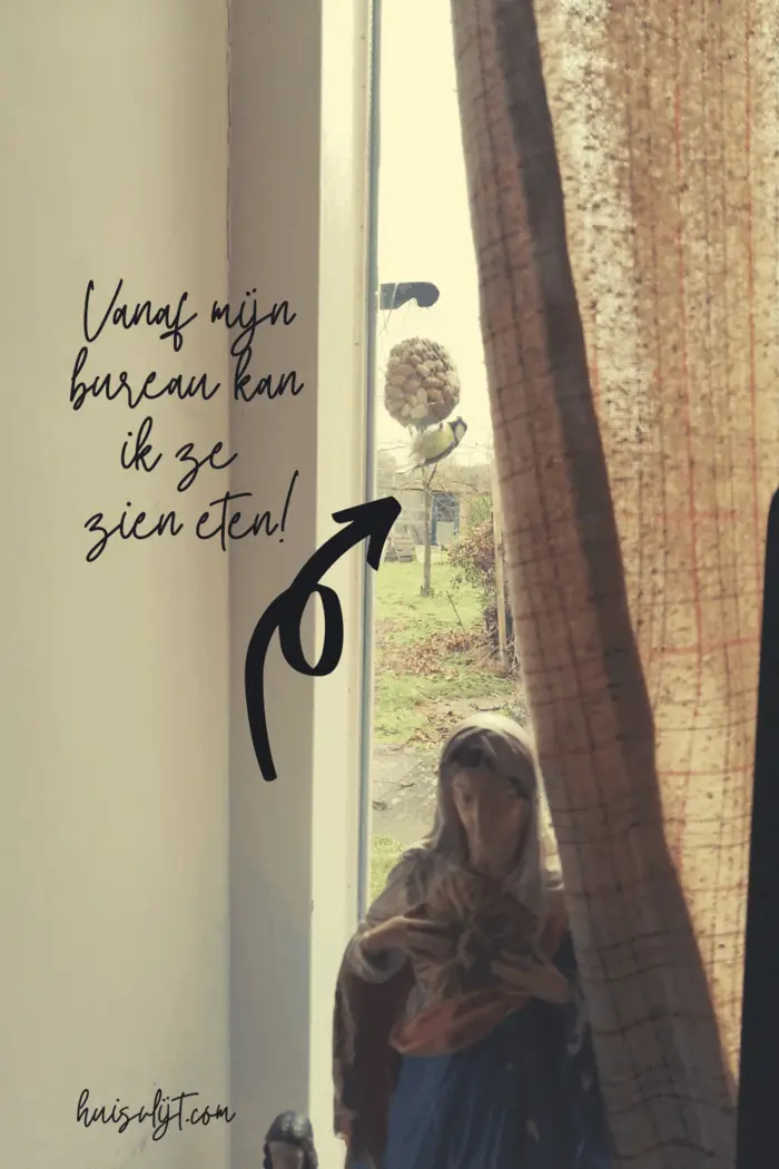 Vogelvoer Action: het werkt! Vogels bij mijn raam : ) 2 Vogelvoer ophangen