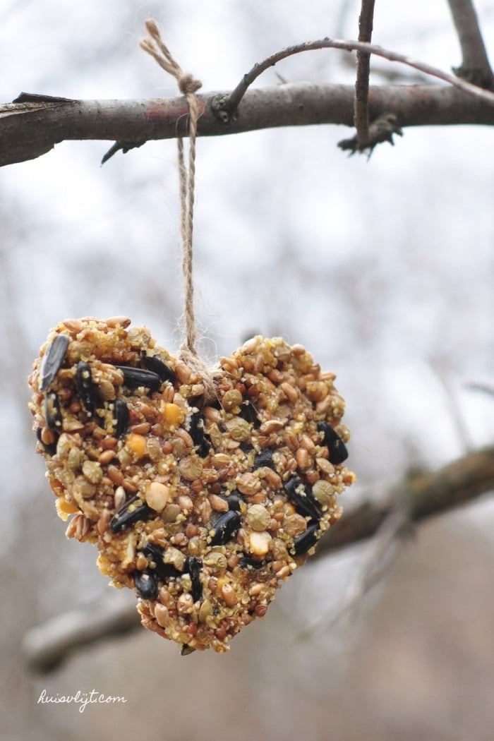 zelf vogelvoer maken met een koekjesvorm